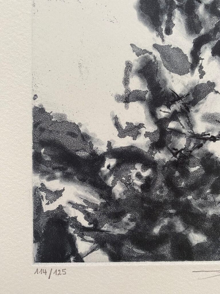 Le prophète de Zao Wou-Ki 趙無極, 1992 (vue 3)