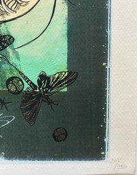 Zara de Swoon, 2013 (vue 2)