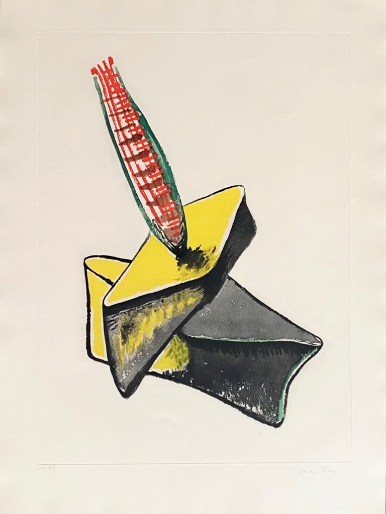 Transfiguration d'un cactus de Man Ray, 1971