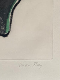 Transfiguration d'un cactus de Man Ray, 1971 (vue 2)