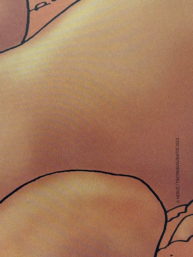 Les Aventures de Tintin : L'Étoile mystérieuse by Hergé, 2023 (view 2)