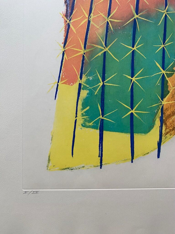 Transfiguration d'un cactus by Man Ray, 1971 (view 2)