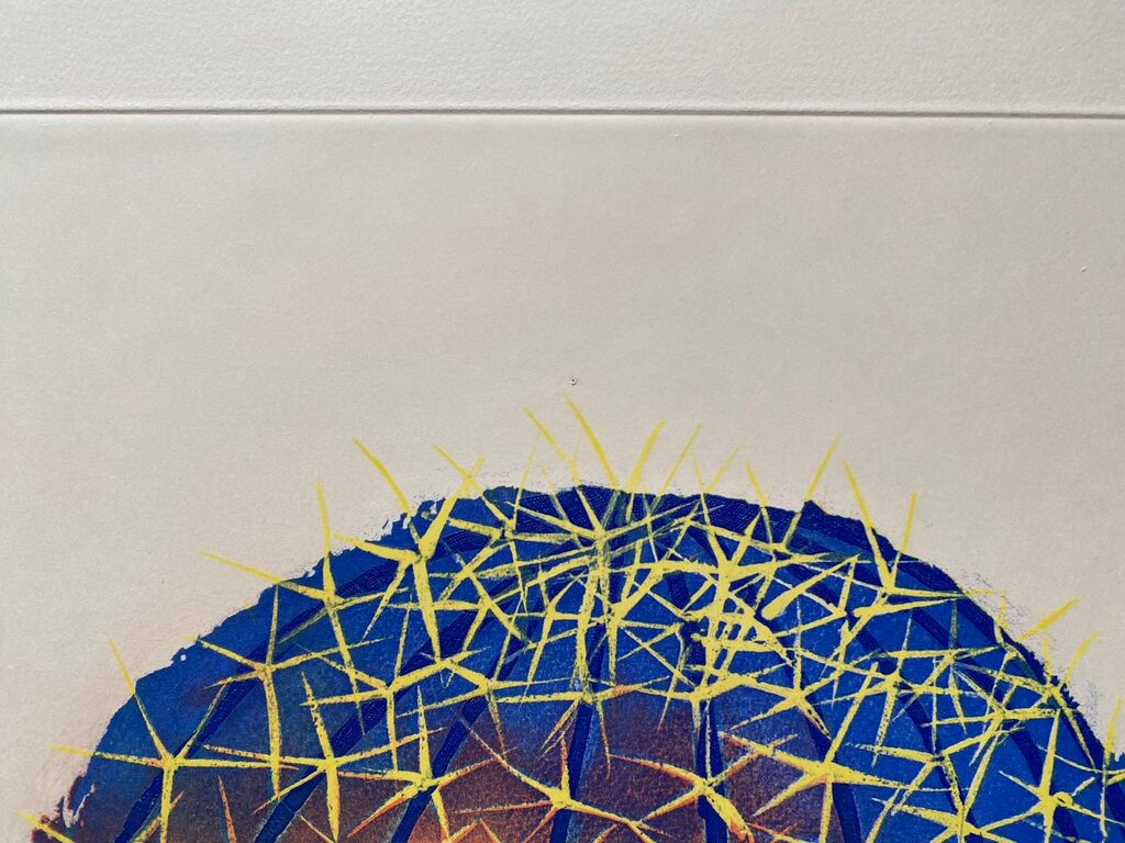 Transfiguration d'un cactus by Man Ray, 1971 (view 5)