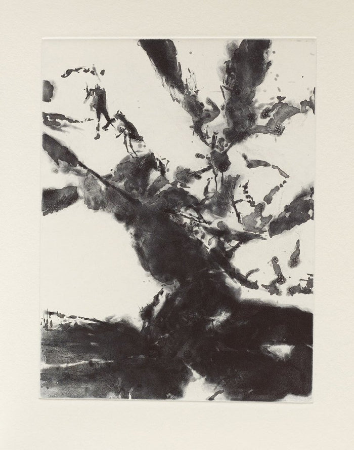 XXIV Sonnets de Shakespeare by Zao Wou-Ki 趙無極, 1994