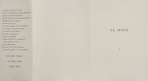 Le Singe (The Monkey) de Pierre-Yves Trémois, 1975 (vue 3)